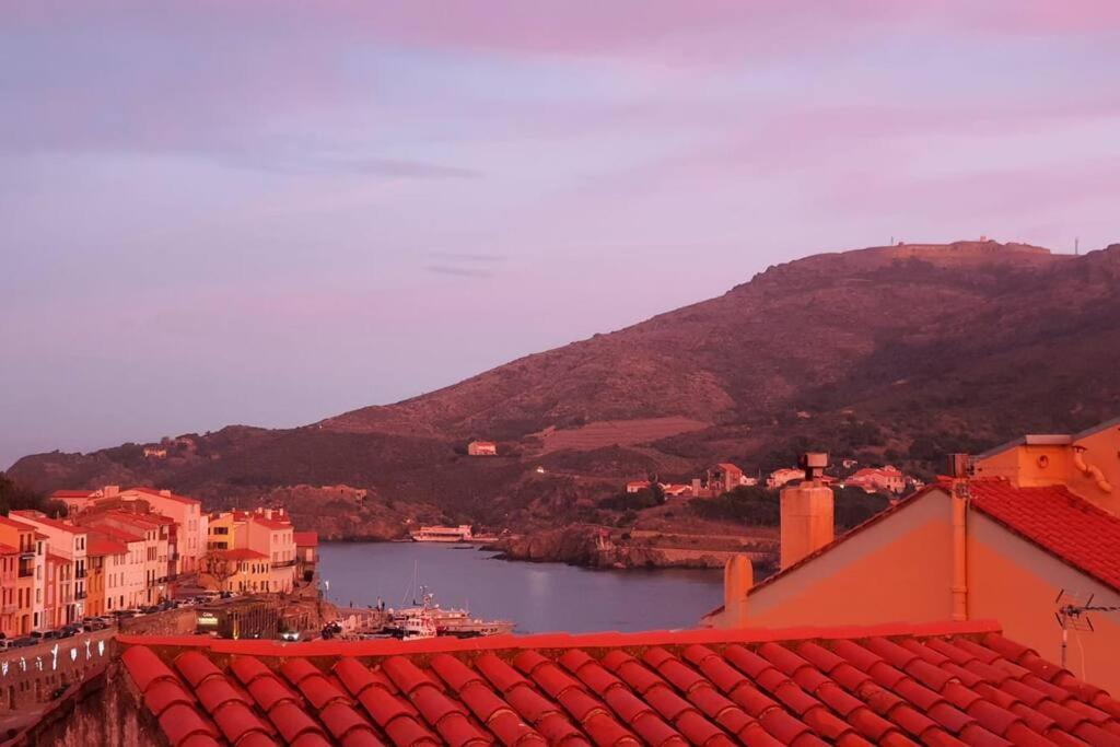 Le Belveze, Emplacement Central Et Calme Port Vendres Ngoại thất bức ảnh