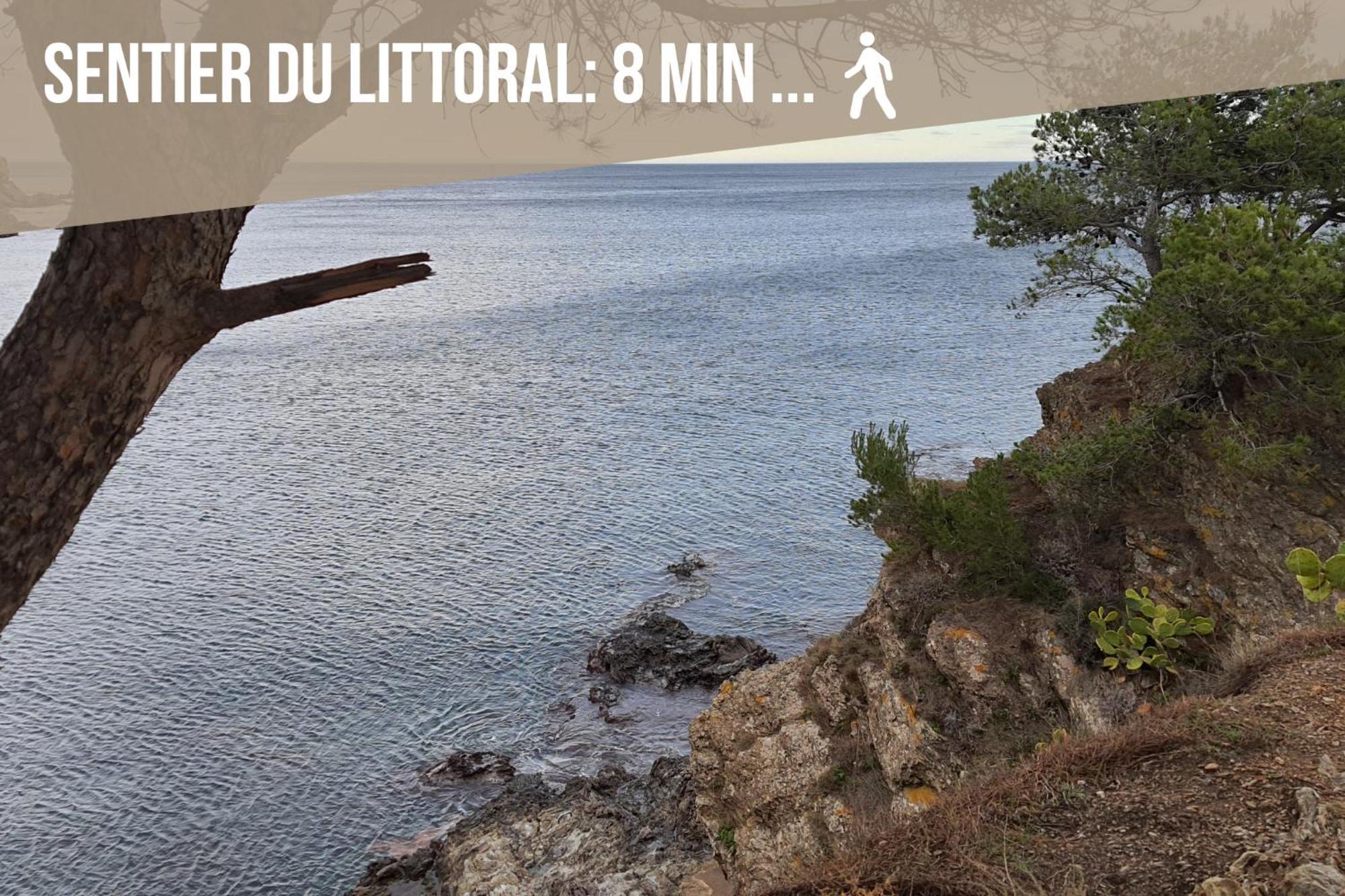 Le Belveze, Emplacement Central Et Calme Port Vendres Ngoại thất bức ảnh